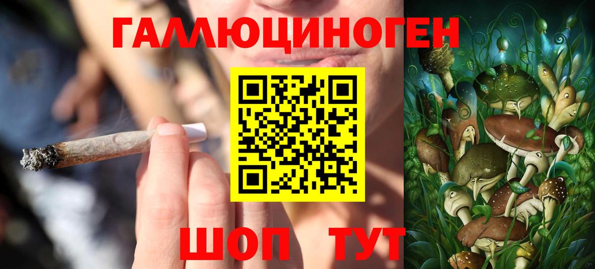Лесной  Галлюциногенные грибы мухоморы  Вход с VPN 